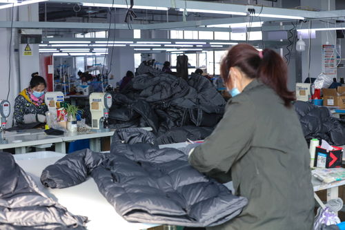 光山 小羽絨 飛向 大世界